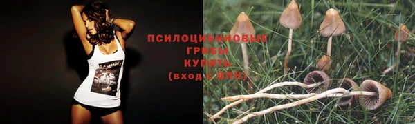 a pvp Горняк