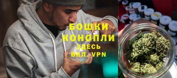 spice Вязьма