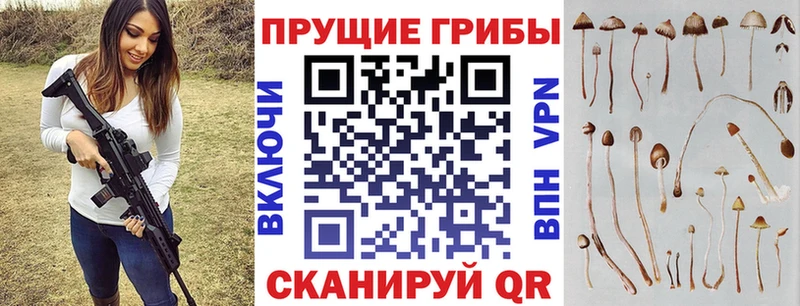 Псилоцибиновые грибы мухоморы Купить закладки Медынь